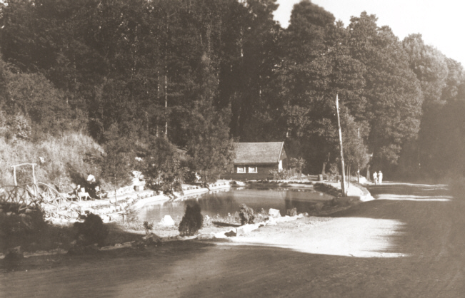 Laguna Huepil