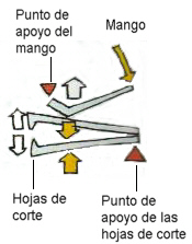 cortau�as