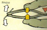 pinzas
